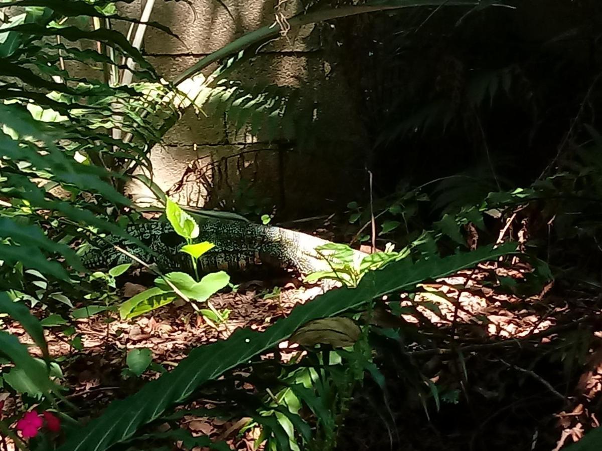 Casa Alquiler En Bombas Bombinhas Villa Esterno foto